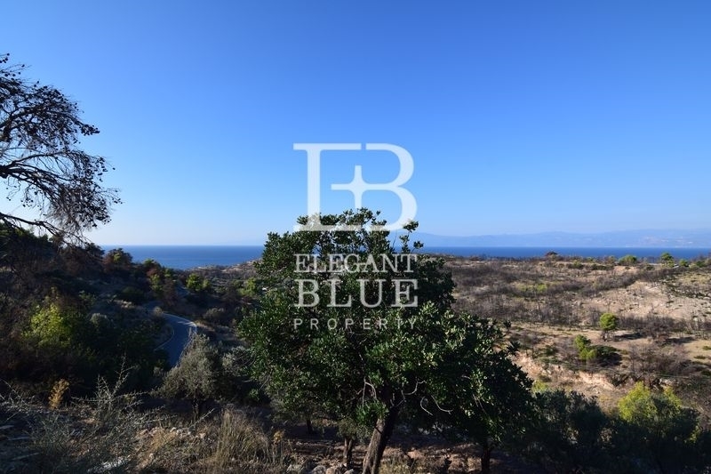 (For Sale) Land Plot out of City plans || Piraias/Spetses - 12.500 Sq.m, 1.200.000€ 