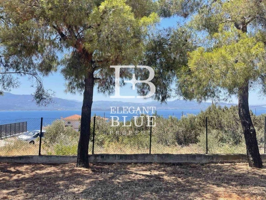 (For Sale) Residential Detached house || Fthiotida/Malesina - 140 Sq.m, 3 Bedrooms, 230.000€ 