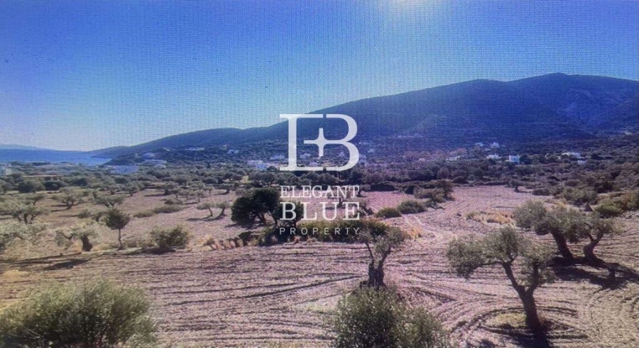 (For Sale) Land Plot || Cyclades/Sifnos - 4.600 Sq.m, 400.000€ 