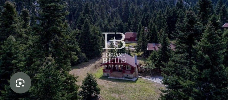 (For Sale) Land Plot || Voiotia/Arachova - 8.000 Sq.m, 450.000€ 