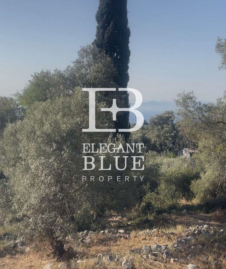 (For Sale) Land Plot || Lefkada/Lefkada Chora - 2.000 Sq.m, 145.000€ 