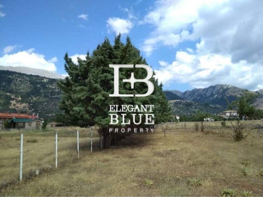(For Sale) Land Plot || Voiotia/Arachova - 4.000 Sq.m, 70.000€ 
